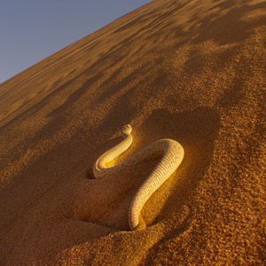Photo Nature