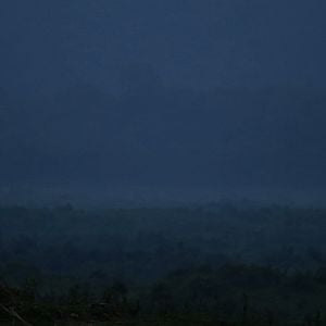 Virunga : Photo