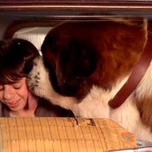 Photo Beethoven: une star est née