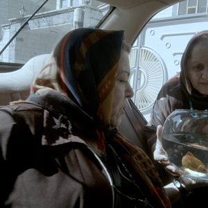 Photo Taxi Téhéran