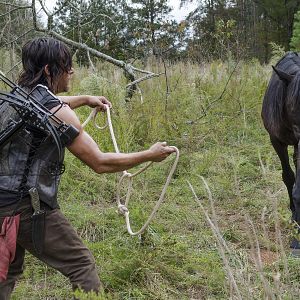 Photo Norman Reedus