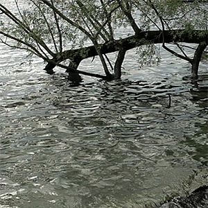 Photo A propos de Venise