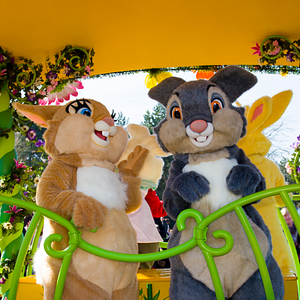 Photo Panpan