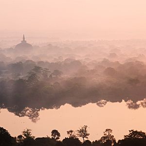 Photo Au Royaume des Singes