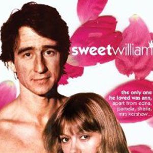 Photo Sweet William