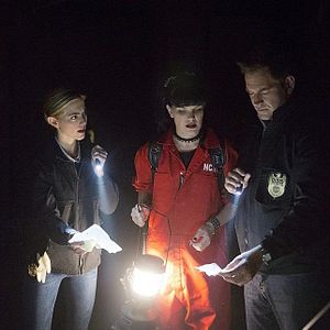 Photo Pauley Perrette