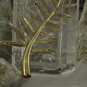 Photo La Légende de la Palme d’or