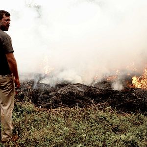 Photo Geert Van Rampelberg