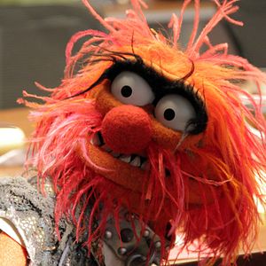 Photo The Muppets