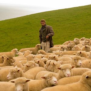 Photo Matthias Schoenaerts