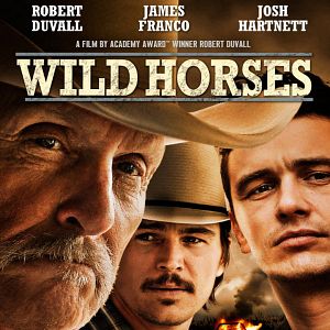 Photo Wild Horses