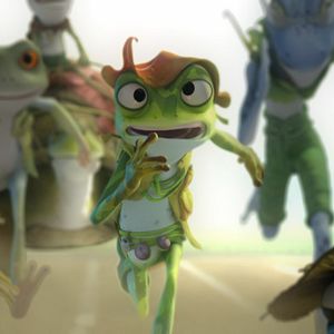 Photo Frog Kingdom