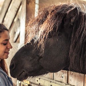 Photo Almila Bağrıaçık