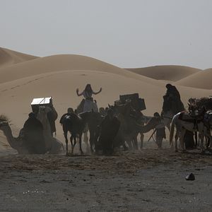 Photo Queen of the Desert