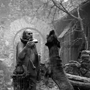 Il est difficile d'être un dieu : Photo