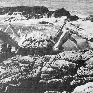 Photo L'attaque des crabes géants