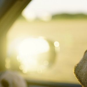 Photo Robert Finster