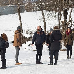 Photo Palmiers dans la neige