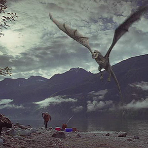 Photo Wyvern