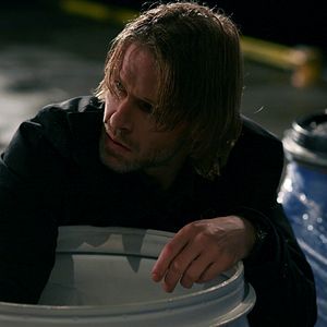 Photo Fleurs amères