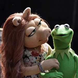 Photo The Muppets
