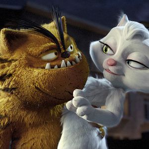 Photo Bad Cat