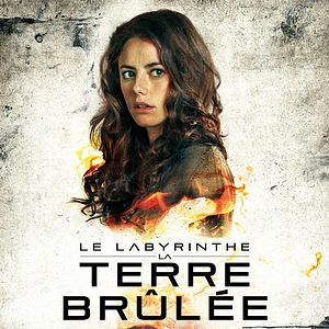 Photo Le Labyrinthe : La Terre brûlée