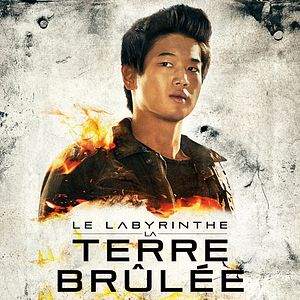 Photo Le Labyrinthe : La Terre brûlée