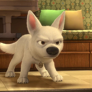 Photo Volt, star malgré lui