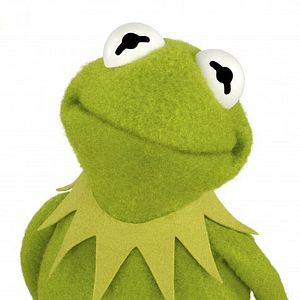 Photo The Muppets