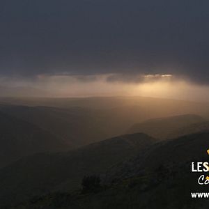 Photo Les Chemins de Compostelle