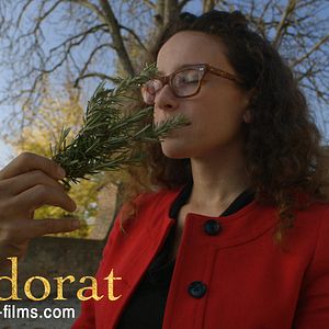 Photo L'Odorat