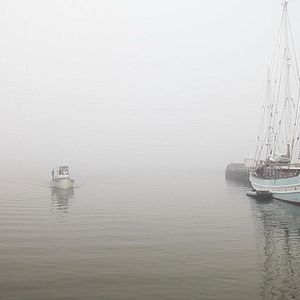 Photo La Forme des îles