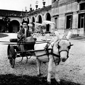 Photo Peggy Guggenheim, la collectionneuse