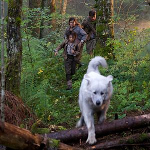 Photo Félix Bossuet