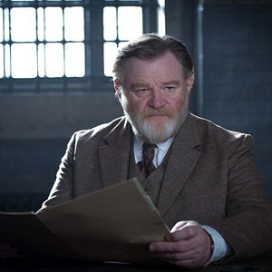 Photo Brendan Gleeson