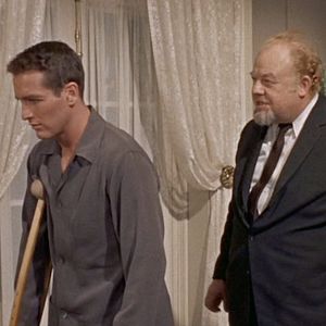 Photo La Chatte sur un toit brûlant