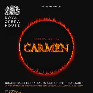 Photo Viscera - L'Après-midi d'un Fauve - Pas de Deux de Tchaikovsky - Carmen (Arts Alliance)