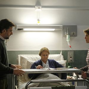 Photo Giulia Lazzarini