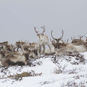 Photo Les Saisons