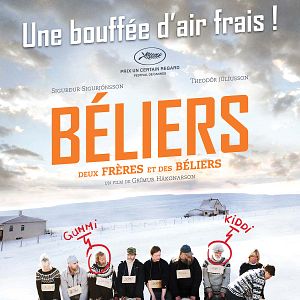 Photo Béliers