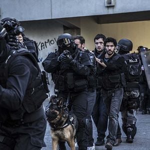 Photo Panthers / The Last Panthers