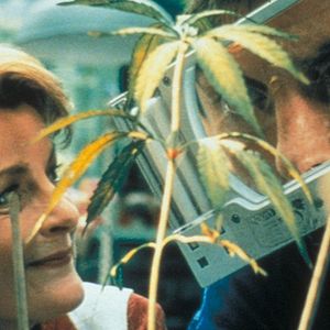 Photo Brenda Blethyn