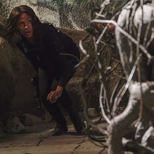 Photo Nicole Beharie