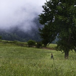 Photo Les Mémoires du vent