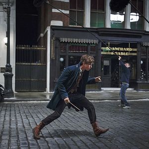 Photo Eddie Redmayne