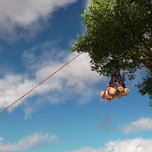 Photo Le Voyage d'Arlo