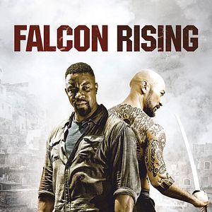 Photo Falcon Rising