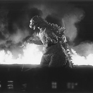 Photo Godzilla