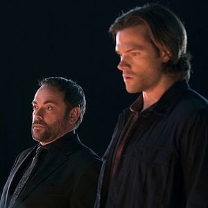 Photo Mark Sheppard